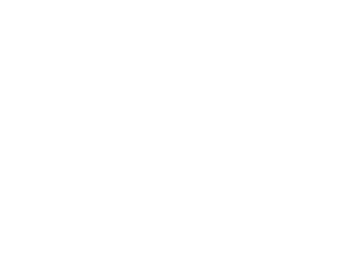 FLIP FRAME